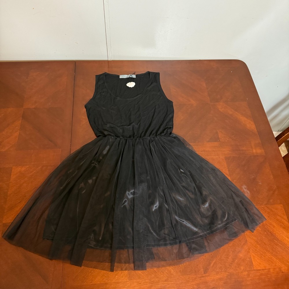 Black Tulle Mesh Dress Sleeveless Lined Fit Flare gothic witchy Large
