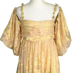 Hofmann Copenhagen Irina Maxi Dress EU 38 US 6 Boho Fairy Floral Empire Yellow