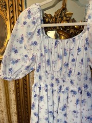 LoveShackFancy x Target Gemma Blue White Floral Maxi Dress XXS P NWOT Cotton