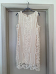 Lace Overlay Shift Dress