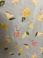 Women’s Sarah Patrick Newport, RI Sundress Cotton Lined Lemonade Print Size 6