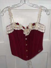 Lacemade Cherry Bite Corset Size Medium NWT!