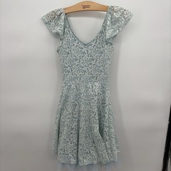 Disney Cinderella Womens Lace Dress Blue Floral Ruffle Cap Sleeve Tulle Small
