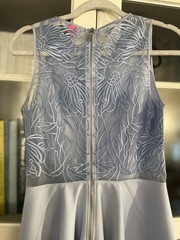 Ted Baker London Venma Sheer Blue Lace Embroidered Skater Dress Sz 1 UK Sz 4 Us