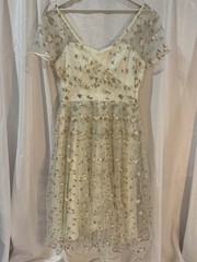Collectif London Women’s S Cream Floral Embroidered Mesh V-Neck Midi Dress Zip