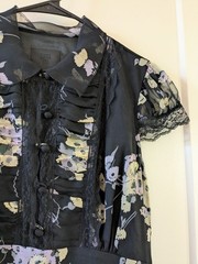 Anna Sui x Anthropologie Sz 6 Women&rsquo;s Sheer Silk Black Floral Whimsy Girly Dress
