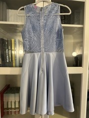 Ted Baker London Venma Sheer Blue Lace Embroidered Skater Dress Sz 1 UK Sz 4 Us
