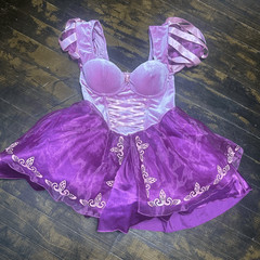 Dolls Kill Princess Rapunzel renaissance satin velvet Costume