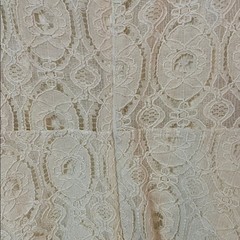 BB Dakota Renley Ivory Embroidered Lace Sleeveless Mini Size 2