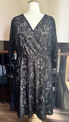 Lane Bryant Black Lace Dress Plus Size 24 Half Sleeve Lined V Neck