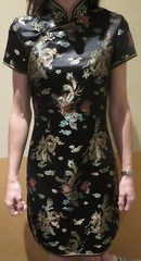 Tangyi Chinese Oriental Dress Size 32