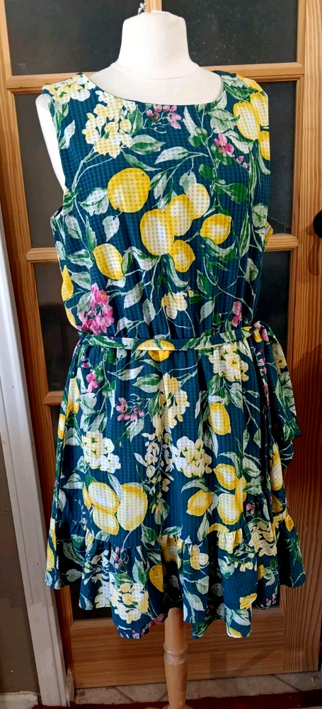 Bobeau Dress Ruffled Floral Fit & Flare Lemons Sleeveless 1X Blue Yellow Lined