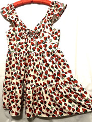 Cider Dress 1XL New Darling Strawberry Print Coquette Babydoll Mini Sundress NWT