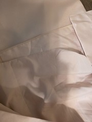 Alfred Sung D876 Strapless Satin Column Gown Removable Watteau Train Flawed
