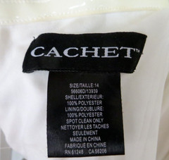 Cachet Rainbow of Colors Strapless Tropical Pastel Chiffon Long Gown Size 14