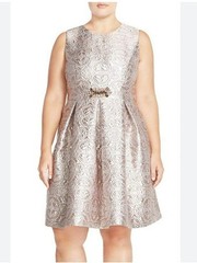Eliza J Embellished Metallic Jacquard Fit & Flare Dress in Champagne Rose Gold