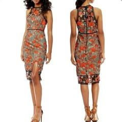Bombshell Romantic | Gianni Bini | Rose Embroidered Mesh Chic Dress | Large| EUC