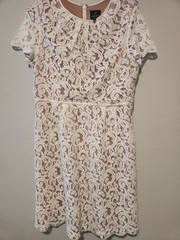 Adrianna Papell laces Ivory On Tan Cocktail Dress Women&rsquo;s Xl Silk Cotton