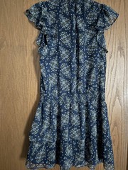 Express Blue Floral Ruffle Flutter Sleeve Chiffon Fit & Flare Mini Dress –Size M