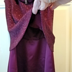 Patra Women&rsquo;s size 6 Maroon Satin look Sparkle Top Sleeveless Gown DW921