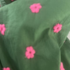 Rhode Ella Mini Dress | Pink Green Embroidered Floral | Size Small No belt