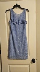 Lilly Pulitzer Janine Shift Dress S Blue Peri Flowing Leaf Lace Ruffle