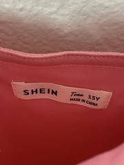 Pink Shein Dres