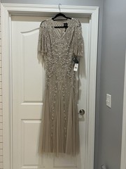 Adrianna Papell Beaded Cape Sleeve Mesh Gown Biscotti Size 8 AP1E208073