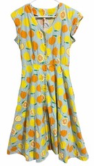 Teeberry & Weave Novelty Fruit Eclectic Art Flare Retro Dress Women’s Size Small