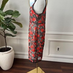 Bombshell Romantic | Gianni Bini | Rose Embroidered Mesh Chic Dress | Large| EUC