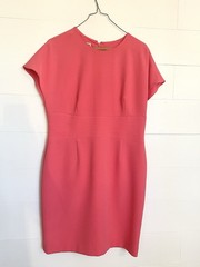 Anne Klein Pink/Melon Solid Sheath Dress Size 8 Zipper