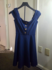 B. Darlin Blue Solid Fit & Flare Sweetheart Sleeveless Button Front Zip 3/4