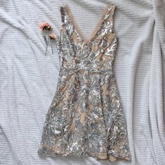 Belle Badgley Mischka Silver Metallic Embroidered Sequin Fit & Flare Dress -Sz 2