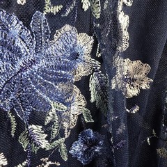 Alex Evenings Dress Sz 12 Navy Blue Floral Embroidered Mesh Fit & Flare NWT