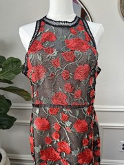 Bombshell Romantic | Gianni Bini | Rose Embroidered Mesh Chic Dress | Large| EUC