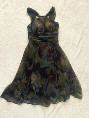 Vintage Boho Connected Apparel Green Floral Chiffon Ruched Fit & Flare Dress