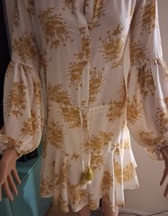 Cream & Gold Button Down Aaaka Sleeve Pleated Flare Dress with Tassel Tie Waist