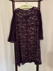 Size 22W Lane Bryant Dress Eggplant Purple Lace Nude Lining BEAUTIFUL