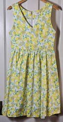 Everly Dress Womens Medium Linen Blend Lemons Sleeveless Garden Tea Party Summer