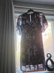 Blue Floral Dress