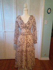 francesca&rsquo;s Toile Print Ruffle Maxi Dress Size S