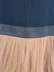 Alythea Black/Beige Tulle Fit & Flare Dress Scoop Neck Sleeveless Zip 1A