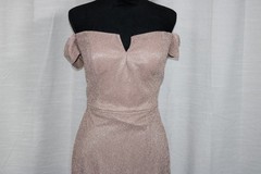 Christina Wu Celebrations Women’s 14 Blush Glitter Off-Shoulder Long Gown 22007