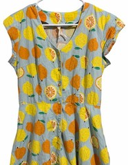 Teeberry & Weave Novelty Fruit Eclectic Art Flare Retro Dress Women’s Size Small