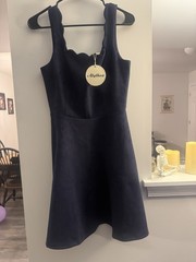 Alythea scalloped skater dress blue medium