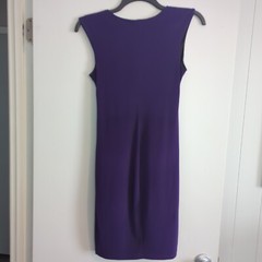 Enfocus Studios Purple Solid Sleeveless Lined Slimming Ocassion DRESS Size 4