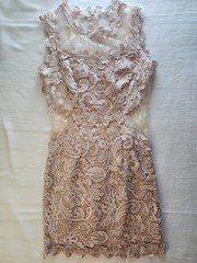 Soieblu Lace Bodycon Dress S Mauve Pink Sheer Mesh Overlay Cocktail Wedding