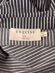 Anthropologie Dress Medium Womens Exquise Tobie Shirtdress Mini Gray Striped