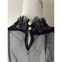 Midnight Constellation | Celestial Embroidered Sheer Mesh Dress