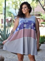 USA New PLUS SIZE Womens OVERSIZED AMERICAN FLAG SWING SLEEVELESS DRESS XL 1X 2X